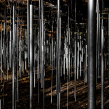 _VZ62442-1a-web