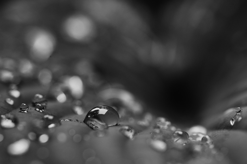 drops