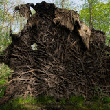 _D856663-1-web2