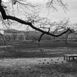 VZ6_0342-1sw-web