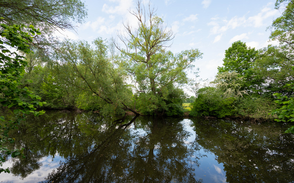 Regnitz bei Fürth