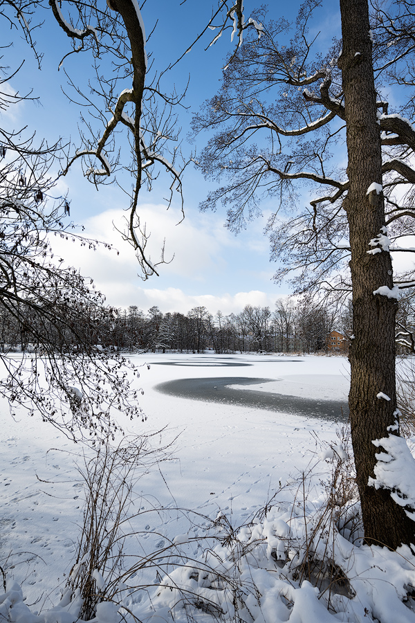 Flachweiher 01