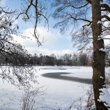 Flachweiher-01