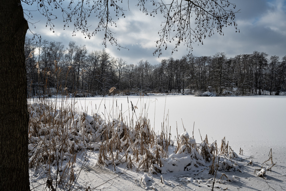 Flachweiher 02