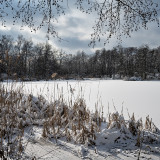 Flachweiher-02