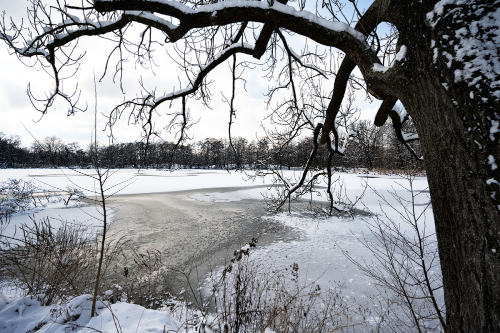 Flachweiher 03