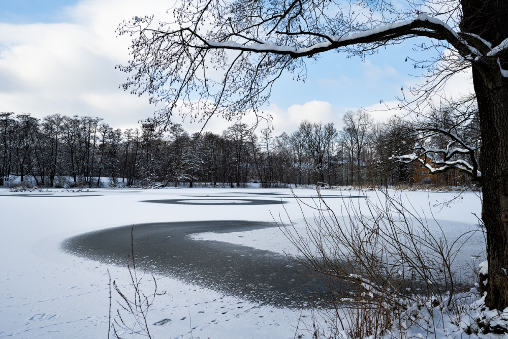 Flachweiher 04