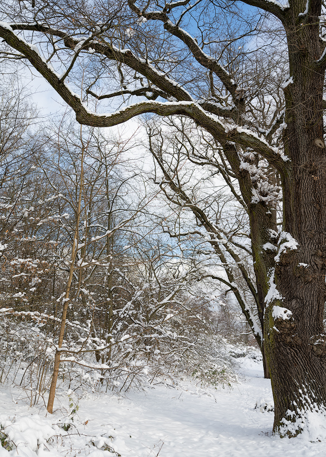 Flachweiher 05