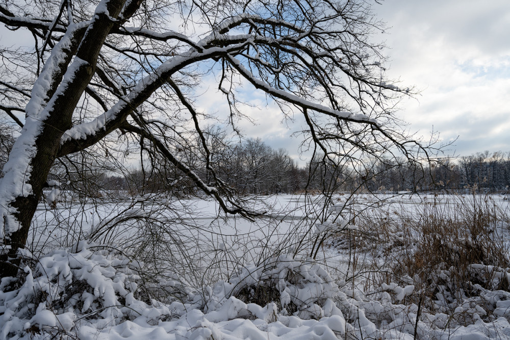 Flachweiher 07