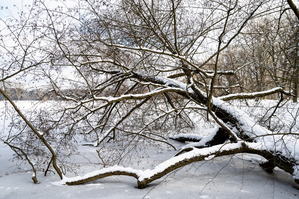 Flachweiher 08