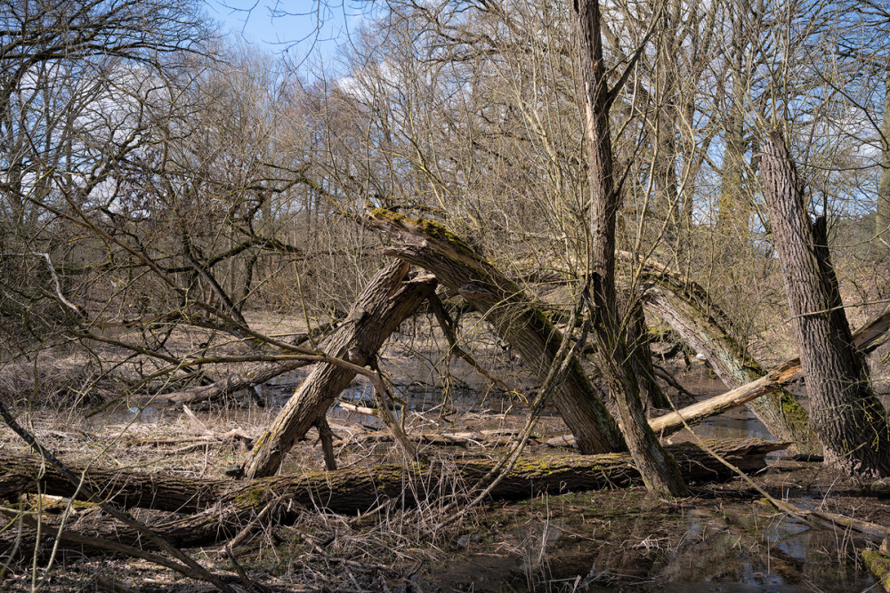 Hainberg-01.jpg
