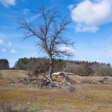 Hainberg-10.jpg