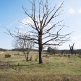 Hainberg03-0404.jpg