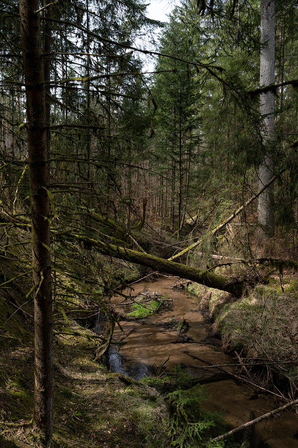 Röthenbach bei Brunn 01