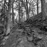 Worzeldorf-02sw.jpg