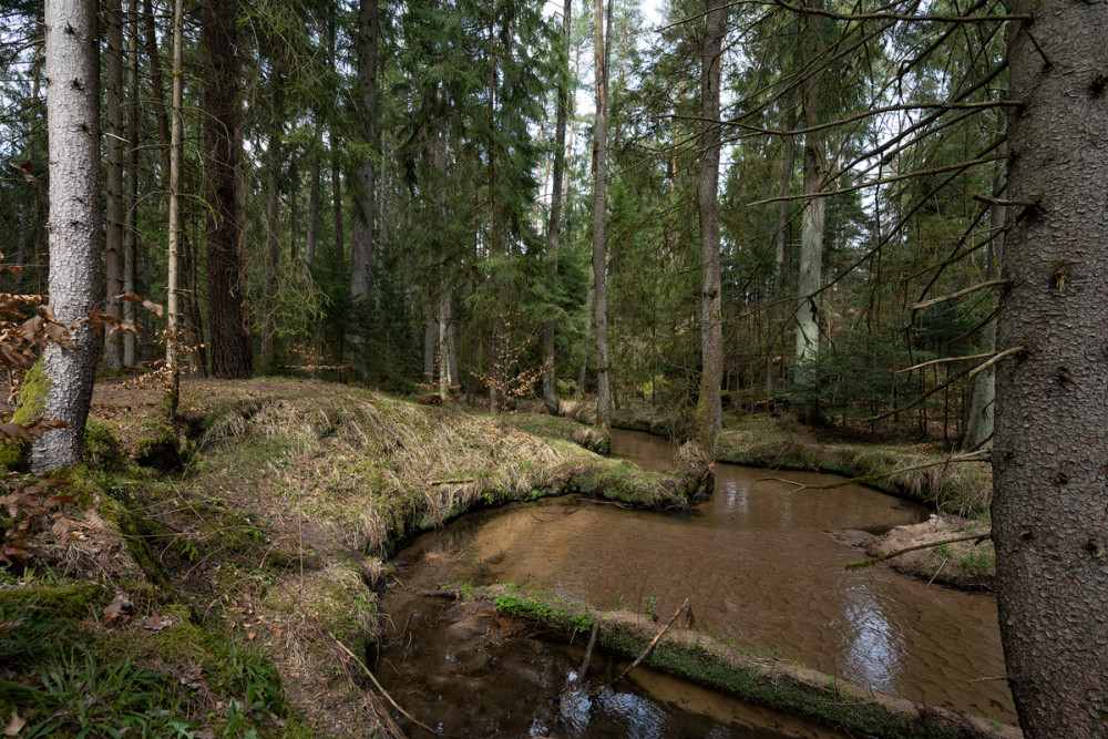 Röthenbach bei Brunn 03