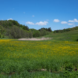 Plankenfels03