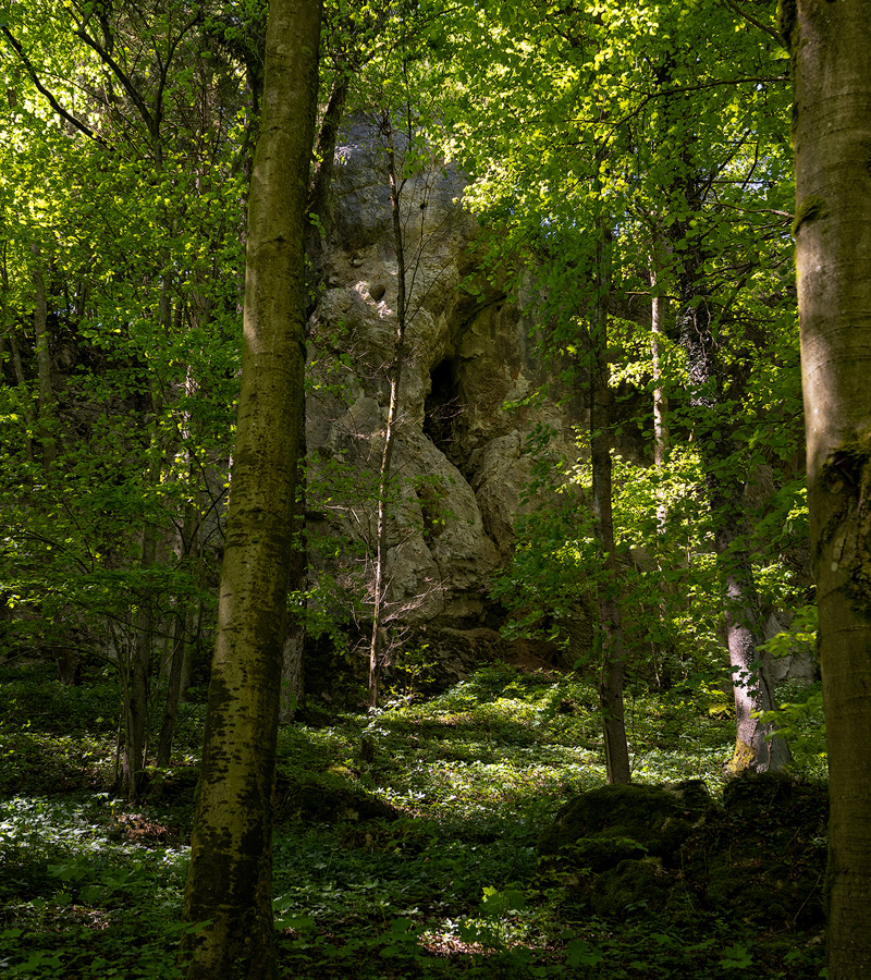 Plankenfels06