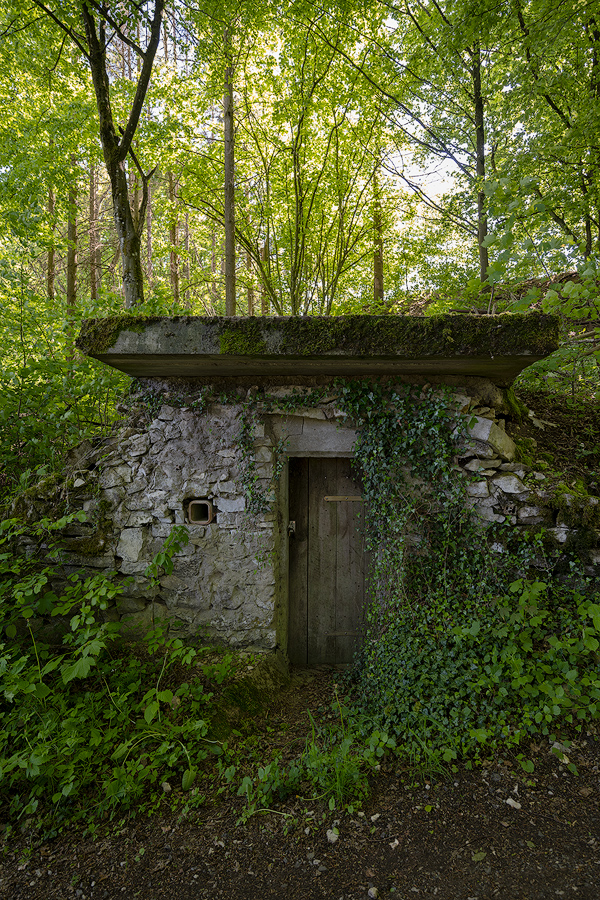 Plankenfels09