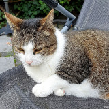 ckurt-raabe.de20210822_183429_01