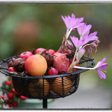 ckurt-raabe.deKRZ_2696_2
