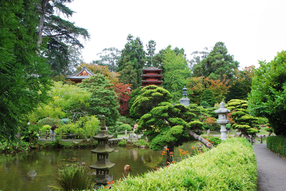 SF, Golden Gate Park, Teagarden