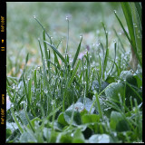 ckurt-raabe.deKRZ_0024--1