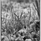 ckurt-raabe.deKRZ_0024--1_sw