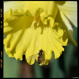 ckurt-raabe.deKRZ_0038_1