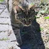 ckurt-raabe.deKRZ_0373_04