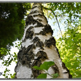 ckurt-raabe.deKRZ_0503_1