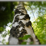 ckurt-raabe.deKRZ_0503_2