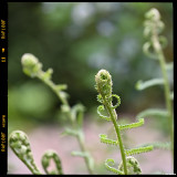 ckurt-raabe.deKRZ_0534_2