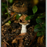 ckurt-raabe.deKRZ_1166_1