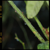 ckurt-raabe.deKR3_7591_1