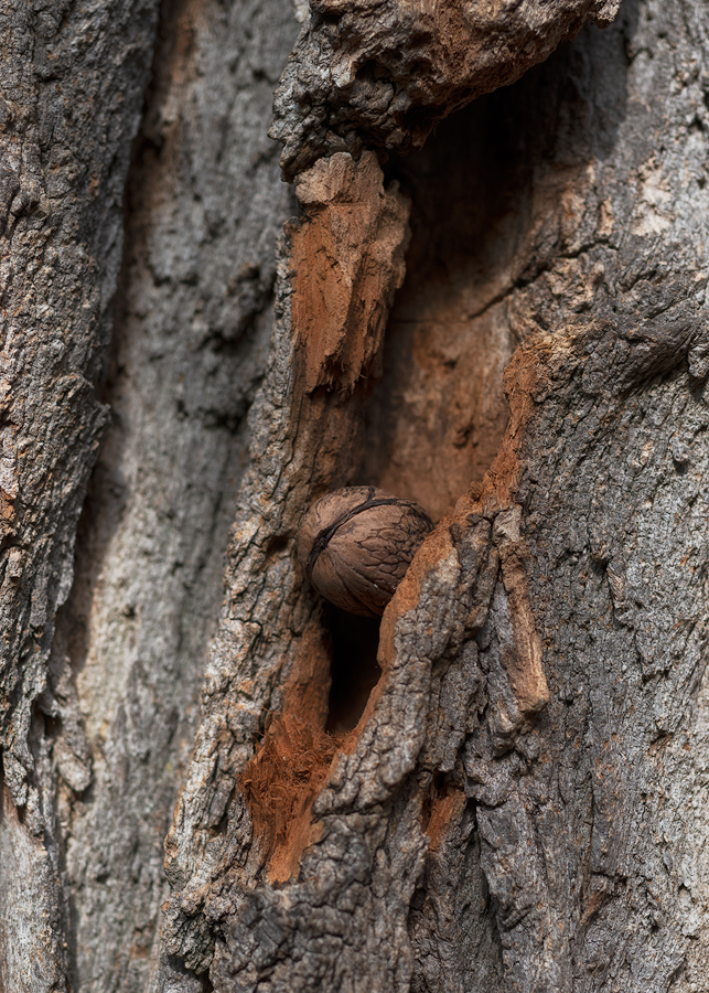 Das Versteck