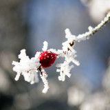 VG_850_1332_on1-2000