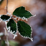 VG_850_1344_on1-2000
