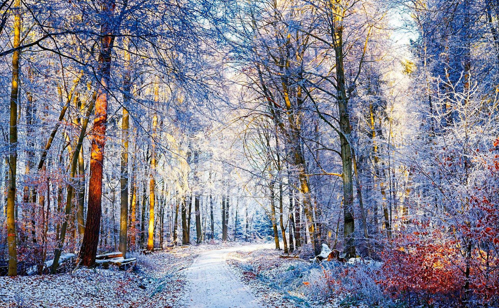 VG_850_1379_on1-2000.jpg