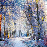 VG_850_1379_on1-2000