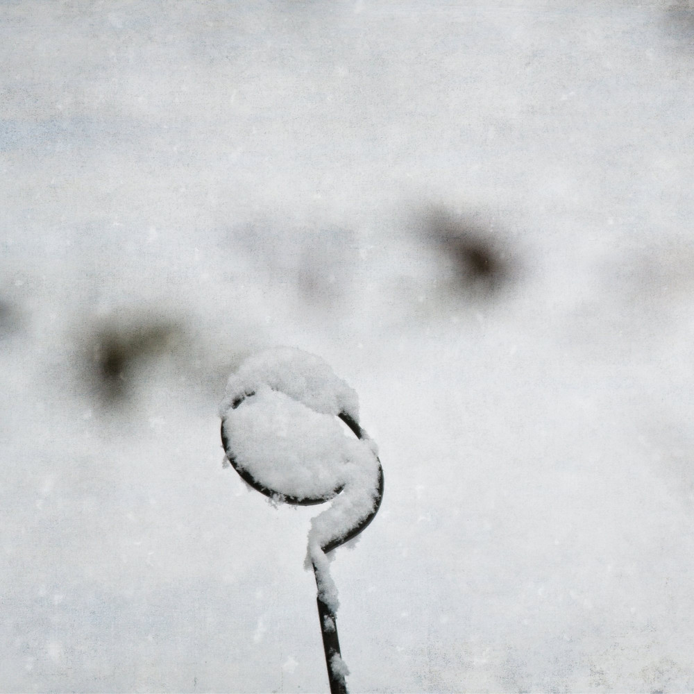 VG5_0132_on1-2000.jpg