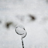 VG5_0132_on1-2000