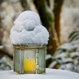 VGO_7008_on1-2000