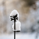 VG_850_4949_on1-2000