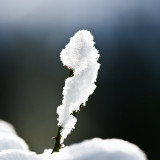 VG_850_4951_on1-2000