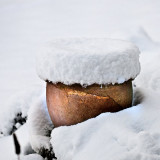 VG_850_4953_on1-2000