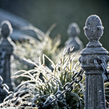 VG5_5127_on1-2000
