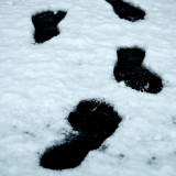 VG_850_7179_on1-2000
