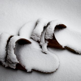 VG_D850_0031_on1-2000