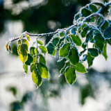 VG_500_7089_on1-2000
